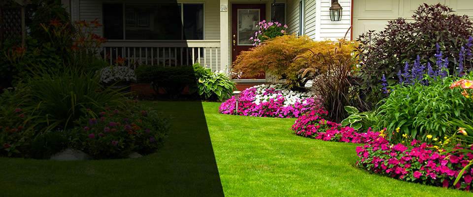 Sedro Woolley Landscapers
