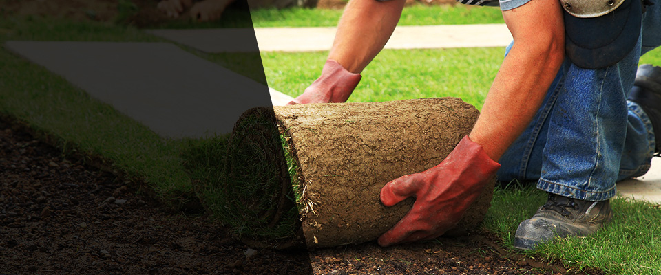 Sedro Woolley Landscapers